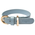 Load image into Gallery viewer, Hundehalsband APFEL-GOLD mit Premium veganem Apfelleder von Alecoo in hellblau
