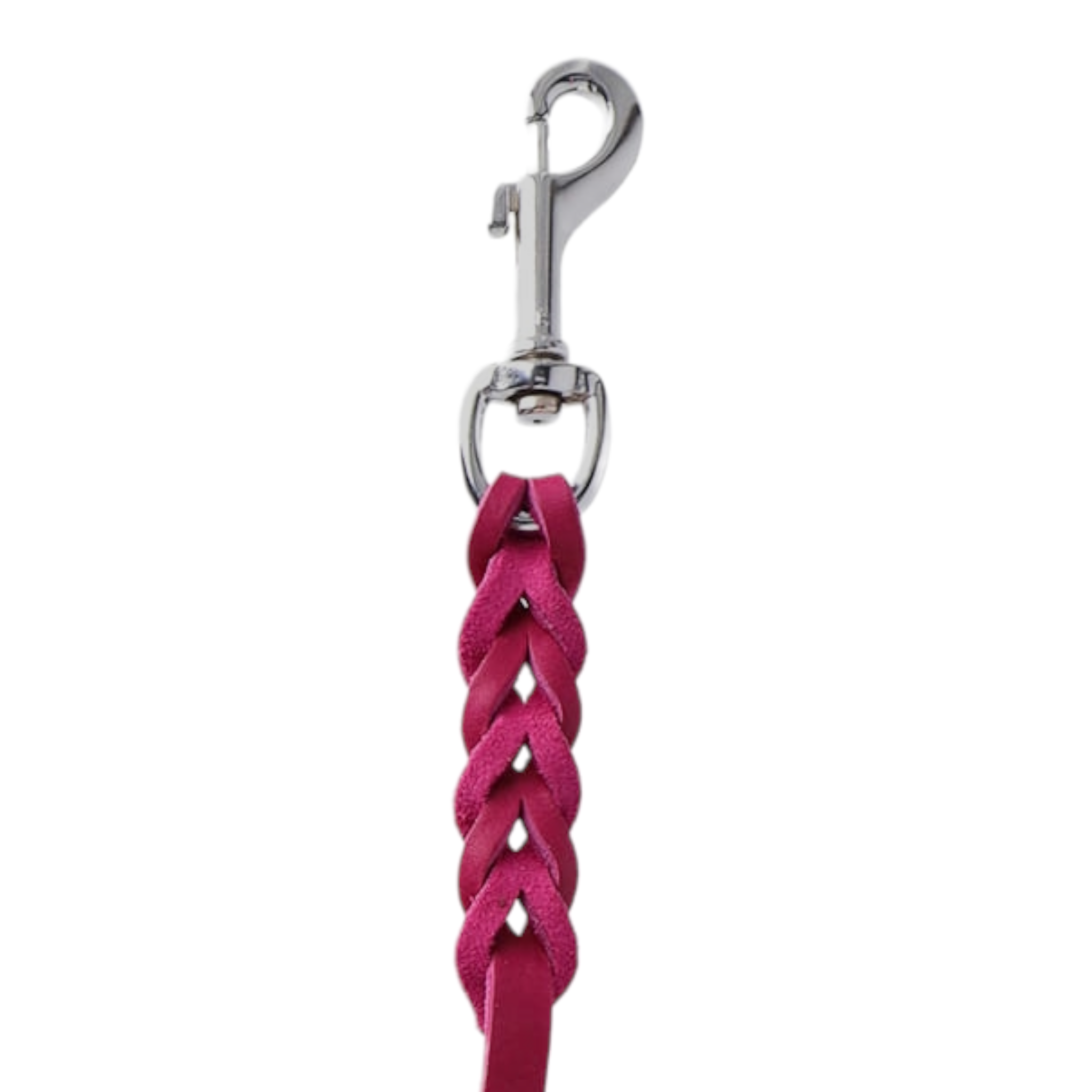 Braided leather dog leash with hand loop and chrome clip.