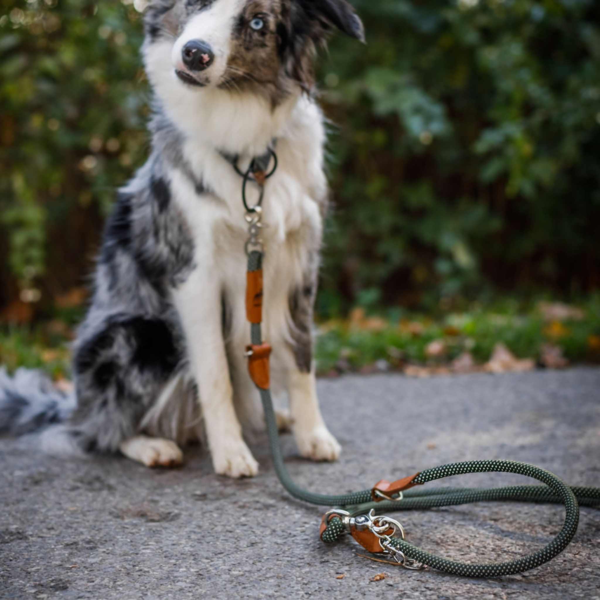 Reflektionsleine GLOW stark reflektierend mit Handschlaufe und vegan Vergleich mit Hund grün