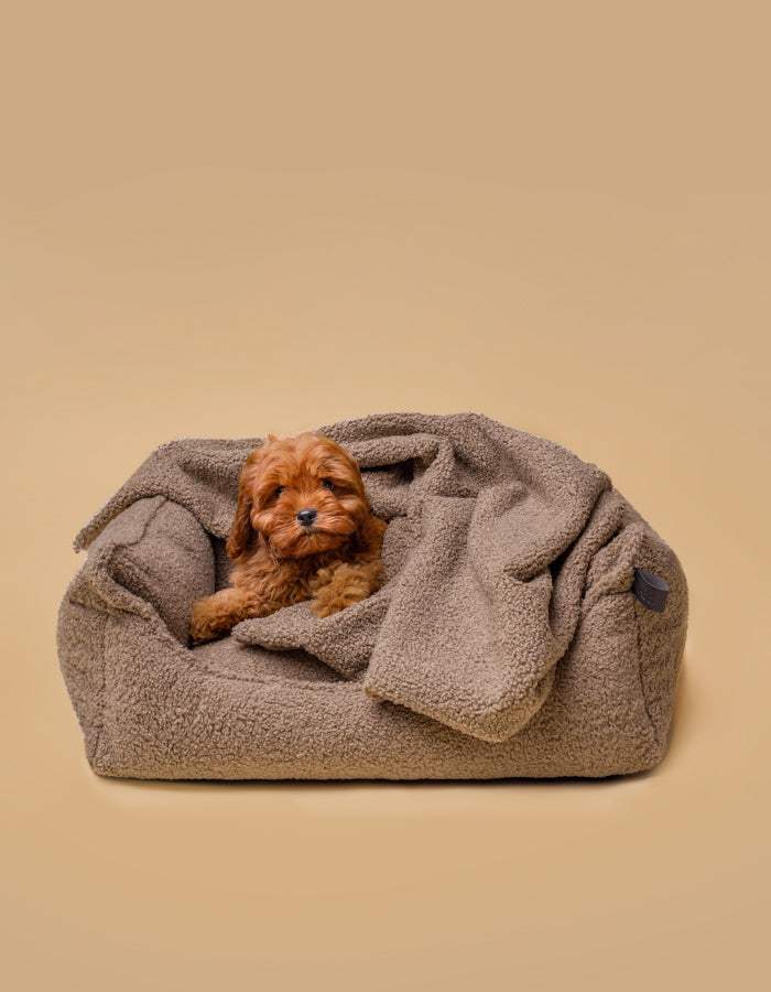 Kuscheldecke MINKY gemütlich und umweltfreundlich aus recycelten PET mit Hund und Decke im Körbchen