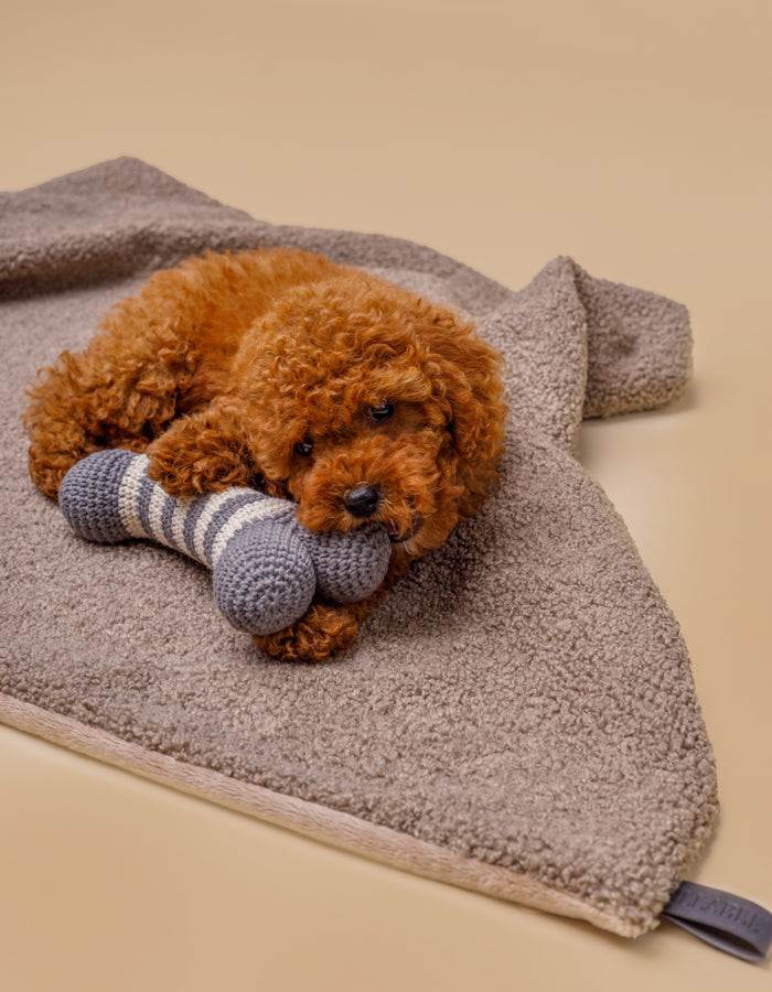 Kuscheldecke MINKY gemütlich und umweltfreundlich aus recycelten PET mit Decke und Kauknochen