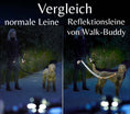 Load image into Gallery viewer, Reflektionsleine GLOW stark reflektierend längenverstellbar und vegan Beispielbild mit Hund auf Strasse
