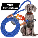 Reflective leash GLOW highly reflective, adjustable in length and vegan