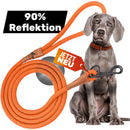 Reflective leash GLOW highly reflective, adjustable in length and vegan
