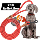 Reflective leash GLOW highly reflective, adjustable in length and vegan