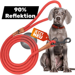 Reflective leash GLOW highly reflective, adjustable in length and vegan
