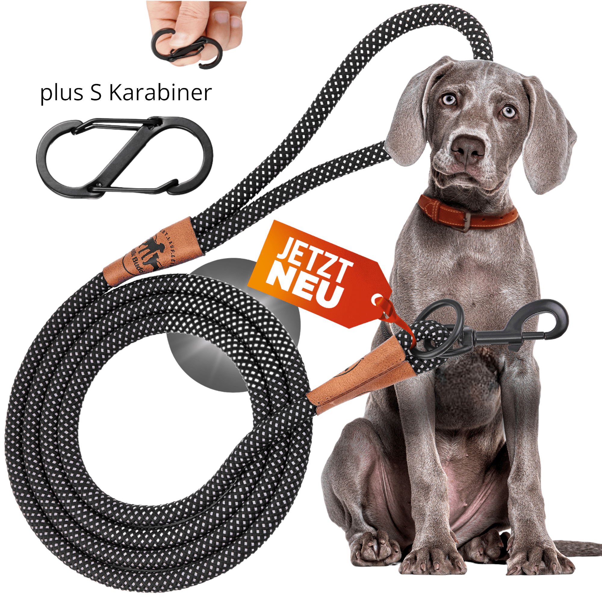 Reflective leash GLOW highly reflective, adjustable in length and vegan