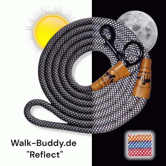 Reflective leash GLOW highly reflective, adjustable in length and vegan