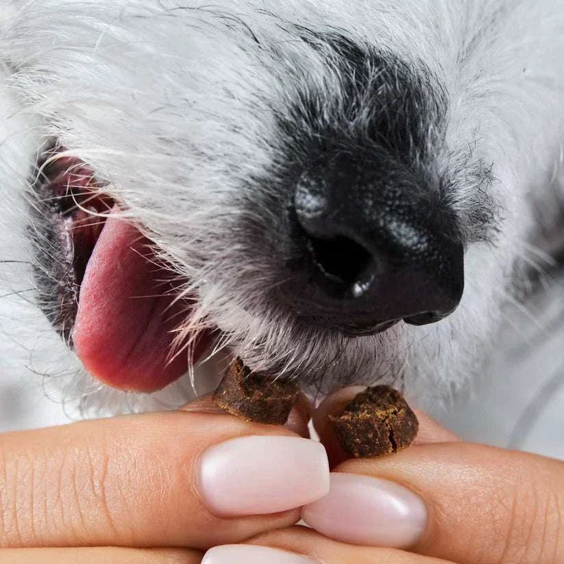 Goodie Drops zur natürlichen Belohnung von Tierliebhaber Nahaufnahme