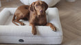 Load and play video in Gallery viewer, Dog bed FRED S with viscose foam mattress and washable bouclé cover
