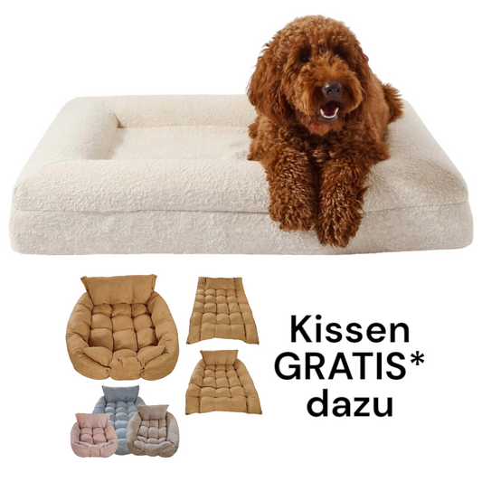 Hundebett Barklay M mit Viskoschaummatratze und waschbarem Bouclébezug in Creme mit gemütlichem Hund und gratis Kissen in verschiedenen Farben