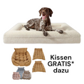 Bild in Galerie-Betrachter laden, Hund schläft komfortabel im Hundebett Barklay L mit weichem waschbarem Bouclébezug und Viskoschaummatratze, inklusive gratis Kissen in verschiedenen Farben.

