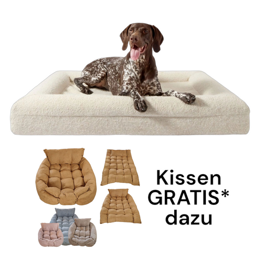 Hund schläft komfortabel im Hundebett Barklay L mit weichem waschbarem Bouclébezug und Viskoschaummatratze, inklusive gratis Kissen in verschiedenen Farben.