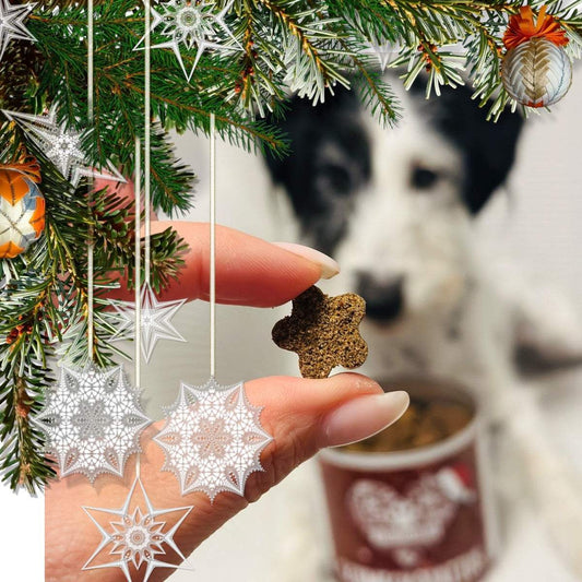 CHRISTMAS RELAX TREATS - Weihnachtliche Leckerlies Schmeckolatius von Tierliebhaber
